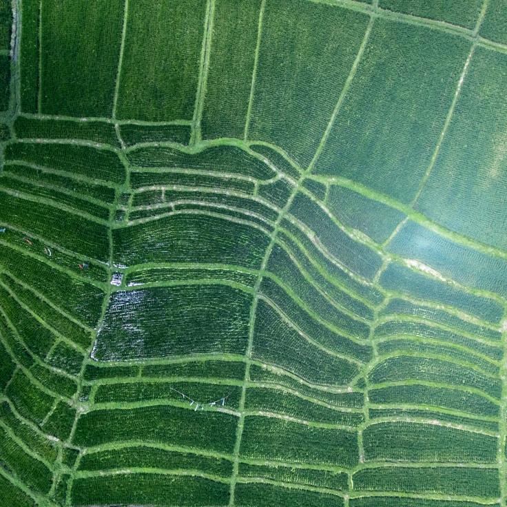 Kids playground area in Germany